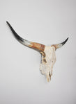 LARGE Dead On Display European Mount Hanger | Skull Bracket - Dead On Display